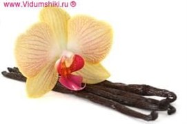 Орхидея и ваниль - отдушка косметическая, 10 гр.